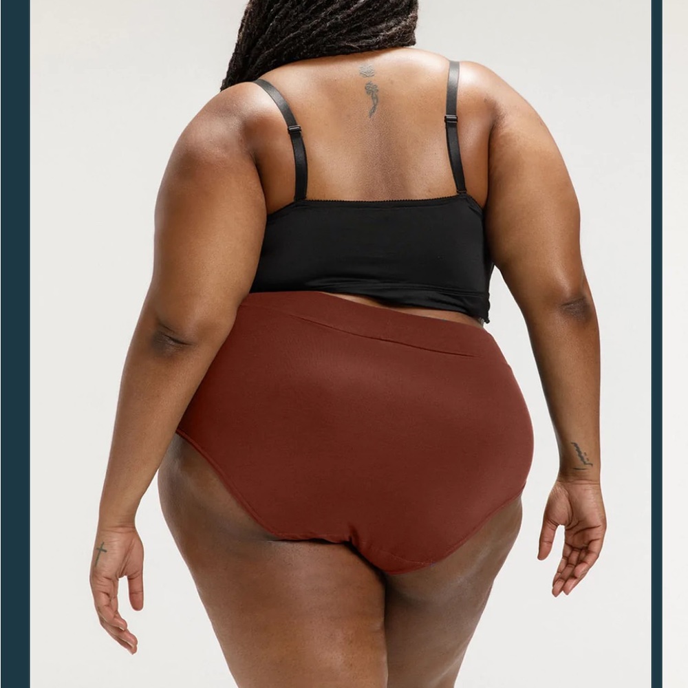 2 PAIR! Kade &Vos briefs by Panty Drop. 2 colors same size.